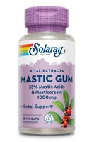 Mastic Gum 1000 mg Solaray, 45 capsule, Secom