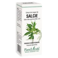 Extract din muguri de Salcie, 50ml, PlantExtrakt