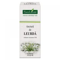 Tinctura de leurda, 50ml, PlantExtrakt