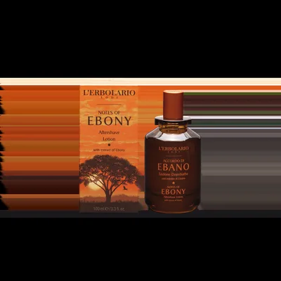 L'Erbolario Lotiune dupa ras Notes Of Ebony, 100ml
