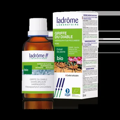 Tinctura Eco de gheara diavolului Harpagophytum Procumbens, 50ml, Ladrome