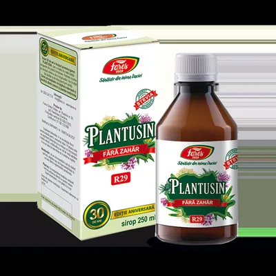Sirop Plantusin pentru diabetici, 250 ml, Fares