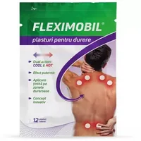 Plasturi cu hidrogel pentru durere, 12 plasturi, Fiterman