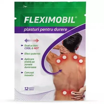 Plasturi cu hidrogel pentru durere Fleximobil, 12 plasturi, Fiterman