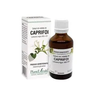 Extract din mladite de caprifoi, 50ml, PlantExtrakt