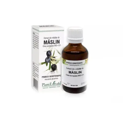 Extract din mladite de Maslin, 50ml, PlantExtrakt