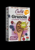 Granola cu afine si merisoare fara gluten, 250g, Avena GoFit