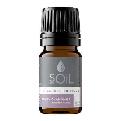 Ulei esential Musetel Roman Pur 100% Organic, 2,5ml, Soil
