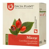 Ceai de macese, 50g, Dacia Plant