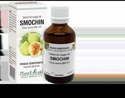 Extract din muguri de smochin, 50ml, PlantExtrakt