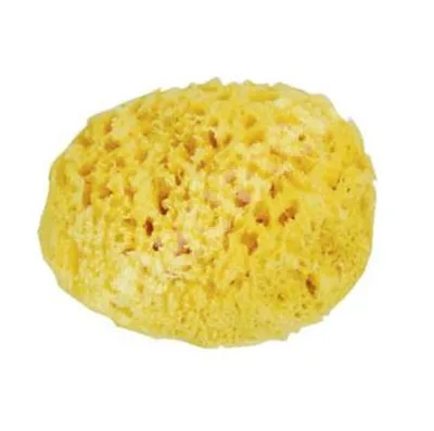 Burete natural de mare Honeycomb Spugnificio Bellini nr.12, 1 bucata, Dr. Brown's