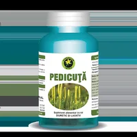 Pedicuta, 60 capsule, Hypericum