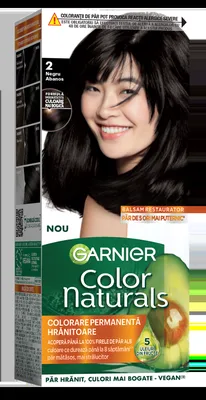 Vopsea de par permanenta Color Naturals 2.0 Negru Abanos, 112ml, Garnier