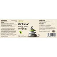 Pachet Ginkana Ginkgo biloba 80mg forte 1+1 Gratuit, 2 x 30 comprimate, Alevia