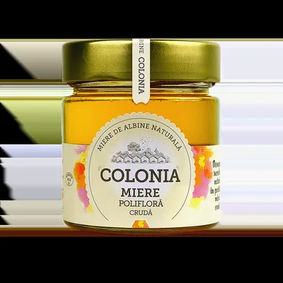 Miere poliflora cruda, 270g, Colonia
