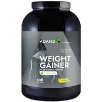 Weight Gainer cu aroma de vanilie, 1500g, Adams Vision