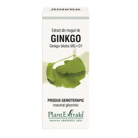 Extract din muguri de Ginkgo Biloba, 50ml, PlantExtrakt