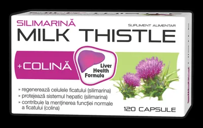 Silimarina Colina Milk Thistle, 30 capsule, Zdrovit
