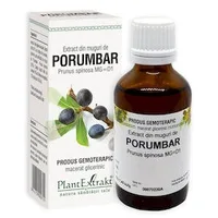 Extract din muguri de Porumbar, 50ml, PlantExtrakt