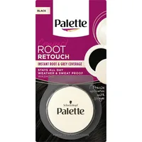 Corector pentru acoperirea firelor albe 1-0 Negru Compact Root Retouch, 3g, Palette