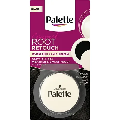 Corector pentru acoperirea firelor albe 1-0 Negru Compact Root Retouch, 3g, Palette