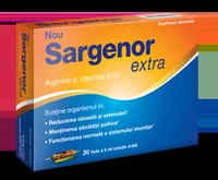 Sargenor Solutie orala, 20 fiole, Viatris
