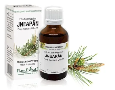 Extract muguri jneapan x 50ml (PLX)
