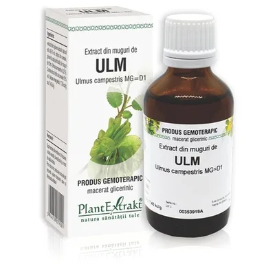 Extract din muguri de Ulm, 50 ml, Plant Extrakt