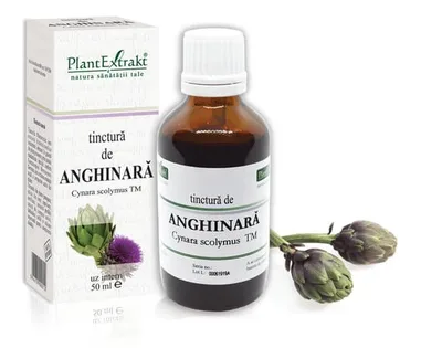 Tinctura Anghinara x 50ml (PLX)