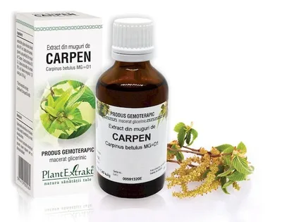 Extract muguri carpen x 50ml (PLX)