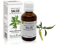 Extract muguri salcie x 50ml (PLX)