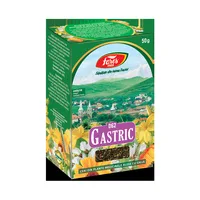 Ceai Gastric, 20 plicuri, Fares