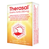 Therasal Gastro Forte 250mg, 30 capsule, Vedra