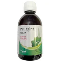 Sirop patlagina, Viva Pharma | 250 ml