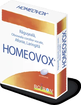 HOMEOVOX X 60