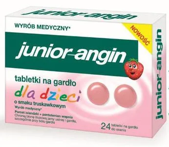 JUNIOR ANGIN X 24 PASTILE