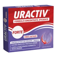 Uractiv Forte fara lactoza, Terapia | 10 capsule