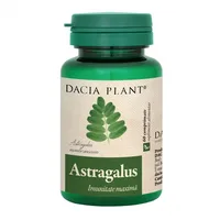 Astragalus, Dacia Plant | 60 comprimate