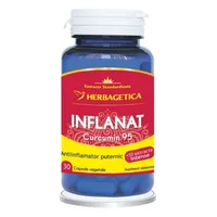 Inflanat Curcumin95, 60 capsule, Herbagetica