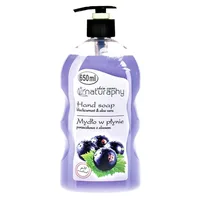 Sapun lichid Coacaze negre si Extract de Aloe Vera Naturaphy, Blux | 650 ml