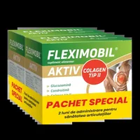 Fleximobil Aktiv, pachet special, Fiterman Pharma | 2 x  60 cps filmate