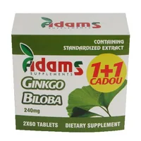 PACHET GINKGO BILOBA 120CPS