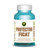PROTECTOR FICAT 300MG 60CPS