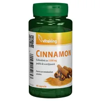 EXTRACT DE SCORTISOARA 375MG 90CP