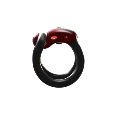 MEDintim TechRing – inel intelligent pentru monitorizarea erectiei