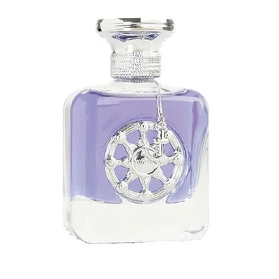 Parfum Aurora Scents Voyager Silver 100 ml