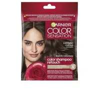 Vopsea par, Garnier, Retouch, castaniu