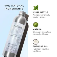 Condiționar Detox We Are Paradoxx cu Ulei de Argan și Ulei de Cocos, 250ml