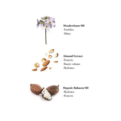 Condiționator pentru păr Leonor Greyl Paris Color-Enhancing and Nourishing Icy Blonde, 6.7 Fl Oz