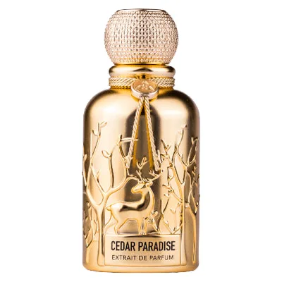 Extrait de Parfum Auraa Desire Cedar Paradise 100ml
